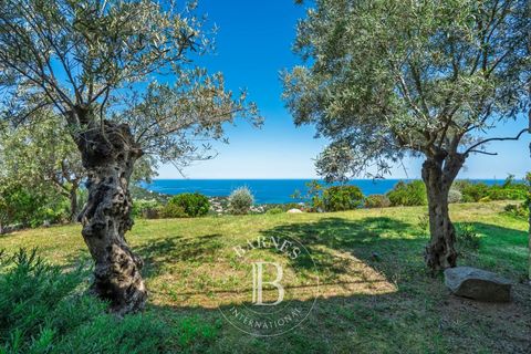 Villa a Corbara, Haute-Corse, Corbara - € 2.520.000 | Ref: RV2181 - foto 19