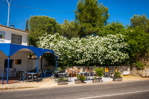 Erhvervsejendom i Orba, Alicante, Orba - € 485.000 | Ref: ES-ORB-019524 - foto 2