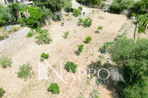 Finca i Calvia, Mallorca, Calvia - € 150.000 | Ref: 5083 - foto 2