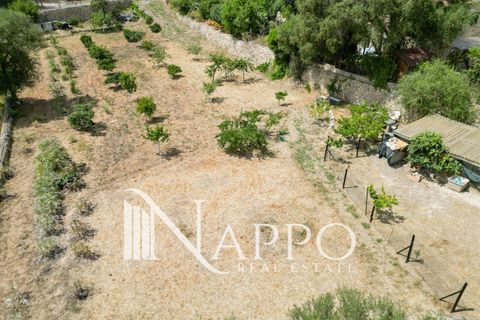 Finca i Calvia, Mallorca, Calvia - € 150.000 | Ref: 5083 - foto 3