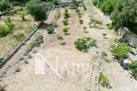 Finca i Calvia, Mallorca, Calvia - € 150.000 | Ref: 5083 - foto 4
