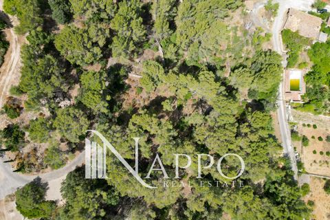 Finca i Calvia, Mallorca, Calvia - € 150.000 | Ref: 5083 - foto 5