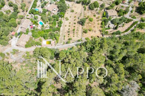 Finca i Calvia, Mallorca, Calvia - € 150.000 | Ref: 5083 - foto 6