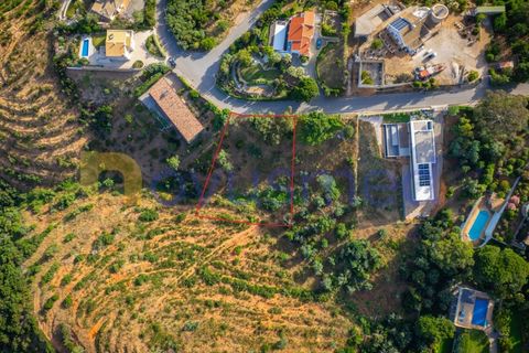 Terra a Monchique, Faro, Monchique - € 200.000 | Ref: LV-03 - foto 5