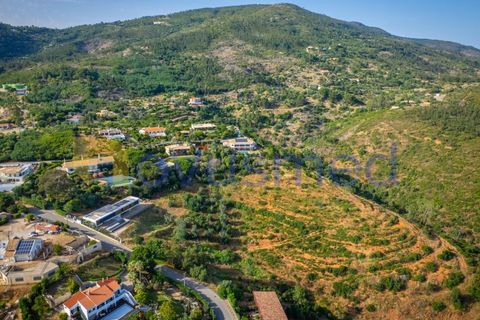 Terra a Monchique, Faro, Monchique - € 200.000 | Ref: LV-03 - foto 17