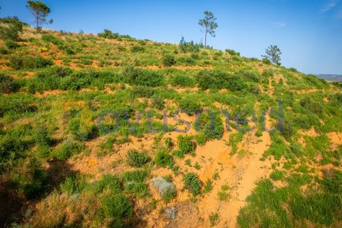 Terra a Monchique, Faro, Monchique - € 200.000 | Ref: LV-03 - foto 25