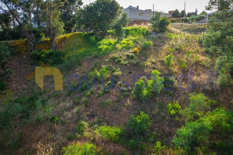 Terra a Monchique, Faro, Monchique - € 200.000 | Ref: LV-03 - foto 26