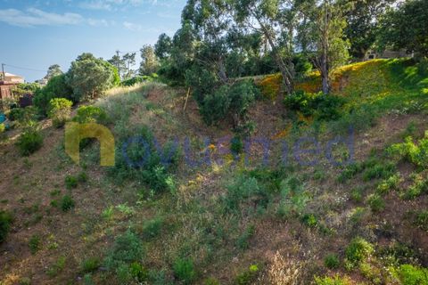Terra a Monchique, Faro, Monchique - € 200.000 | Ref: LV-03 - foto 27