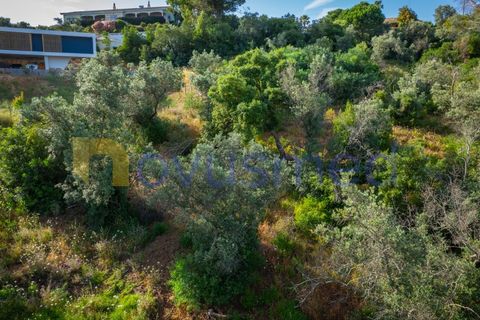 Terra a Monchique, Faro, Monchique - € 200.000 | Ref: LV-03 - foto 28