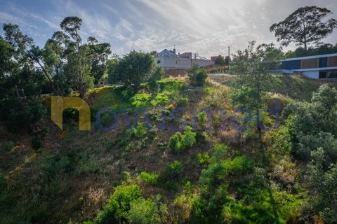 Terra a Monchique, Faro, Monchique - € 200.000 | Ref: LV-03 - foto 29
