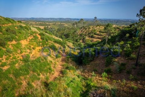 Terra a Monchique, Faro, Monchique - € 200.000 | Ref: LV-03 - foto 30