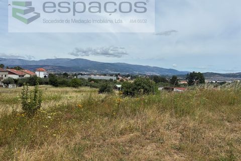 Terra a Fundao, Castelo Branco, Fundao - € 599.000 | Ref: 5571/CP_AF - foto 5