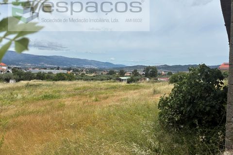 Terra a Fundao, Castelo Branco, Fundao - € 599.000 | Ref: 5571/CP_AF - foto 7
