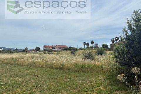 Terra a Fundao, Castelo Branco, Fundao - € 599.000 | Ref: 5571/CP_AF - foto 8
