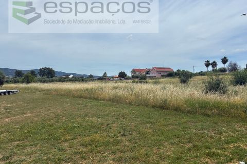Terra a Fundao, Castelo Branco, Fundao - € 599.000 | Ref: 5571/CP_AF - foto 9