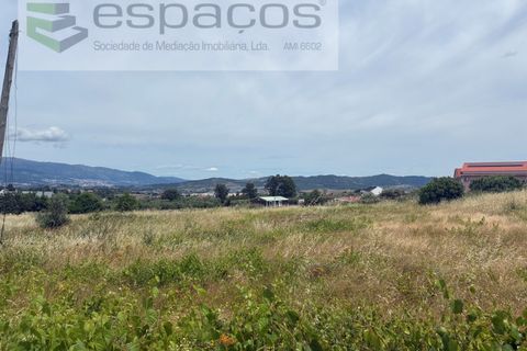 Terra a Fundao, Castelo Branco, Fundao - € 599.000 | Ref: 5571/CP_AF - foto 10