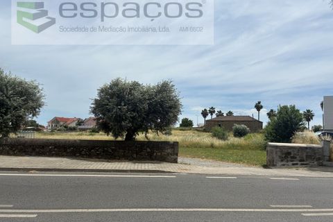 Terra a Fundao, Castelo Branco, Fundao - € 599.000 | Ref: 5571/CP_AF - foto 13