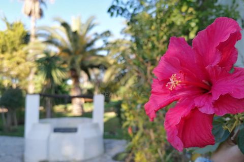 Byhus i Cadiz, Cadiz, Cadiz - € 880.000 | Ref: 937820 - foto 39