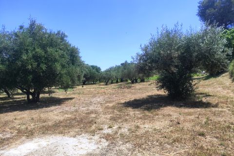 Landejendom i Ontinyent, Valencia, Ontinyent - € 150.000 | Ref: 3020 - foto 7