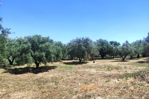 Landejendom i Ontinyent, Valencia, Ontinyent - € 150.000 | Ref: 3020 - foto 8
