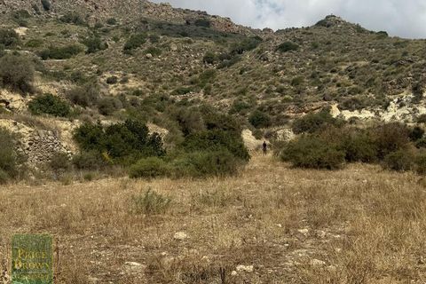 Terra em Sorbas, Almeria, Sorbas - € 49.000 | Ref: LANCariatiz - foto 10