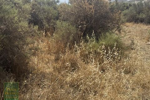 Terra em Sorbas, Almeria, Sorbas - € 49.000 | Ref: LANCariatiz - foto 15