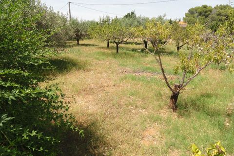 Villa i Turis, Valencia, Turis - € 205.000 | Ref: 8369 - foto 18