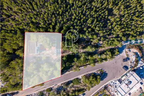 Helårsgrund i Ibiza, Ibiza, Ibiza - € 3.200.000 | Ref: 7798 - foto 3