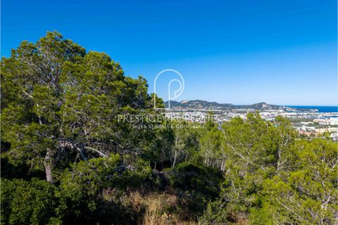 Helårsgrund i Ibiza, Ibiza, Ibiza - € 3.200.000 | Ref: 7798 - foto 10