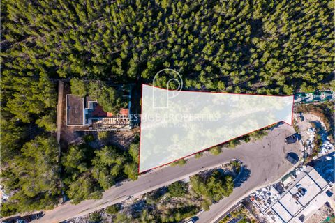 Terra a Ibiza, Ibiza, Ibiza - € 3.070.000 | Ref: 7799 - foto 3