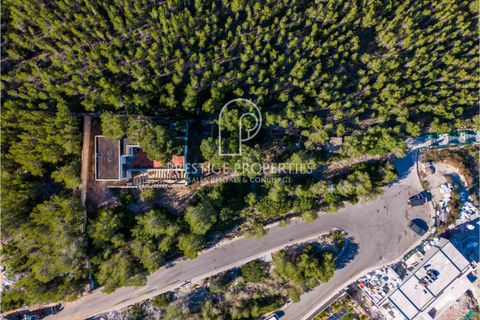 Terra a Ibiza, Ibiza, Ibiza - € 3.070.000 | Ref: 7799 - foto 9