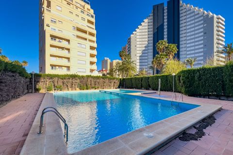 Apartamento en Calpe, Alicante, Calpe - € 375.000 | Ref: ADX477 - photo 32