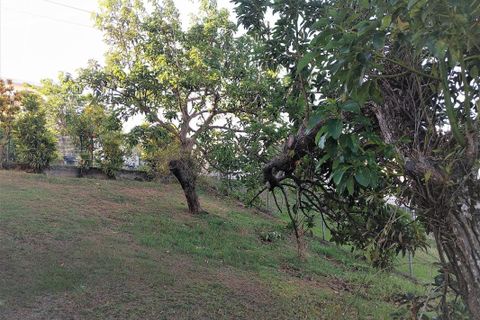 Villa a Schoelcher, Martinique, Schoelcher - € 364.000 | Ref: 1691 - foto 4
