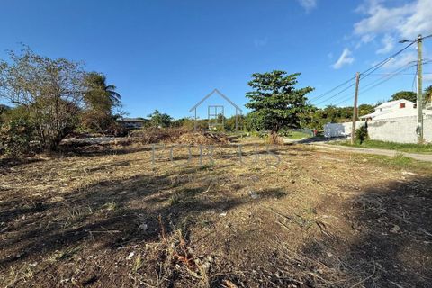 Helårsgrund i Le Moule, Guadeloupe, Le Moule - € 150.000 | Ref: 2008 - foto 3