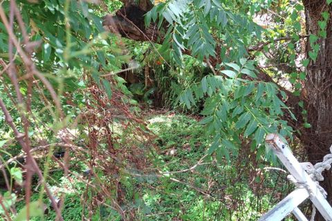 Terra a Basse-Terre, Guadeloupe, Basse-Terre - € 71.000 | Ref: 1862 - foto 2