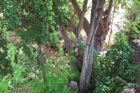 Terra a Basse-Terre, Guadeloupe, Basse-Terre - € 71.000 | Ref: 1862 - foto 3