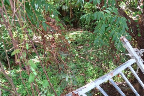 Terra a Basse-Terre, Guadeloupe, Basse-Terre - € 71.000 | Ref: 1862 - foto 4