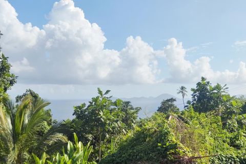 Villa a Capesterre-Belle-Eau, Guadeloupe, Capesterre-Belle-Eau - € 389.580 | Ref: 2046 - foto 16