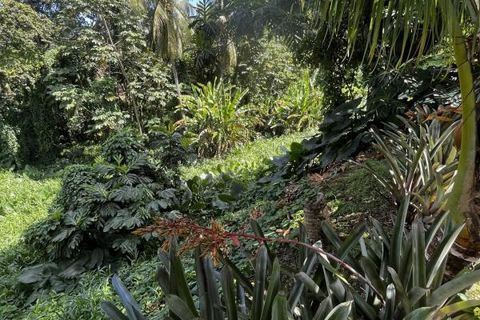 Villa a Le Lamentin, Martinique, Le Lamentin - € 450.000 | Ref: 2058 - foto 19