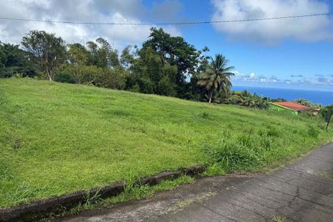Terra a Basse-Pointe, Martinique, Basse-Pointe - € 128.000 | Ref: 2007 - foto 2