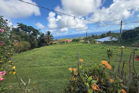 Terra a Basse-Pointe, Martinique, Basse-Pointe - € 128.000 | Ref: 2007 - foto 4