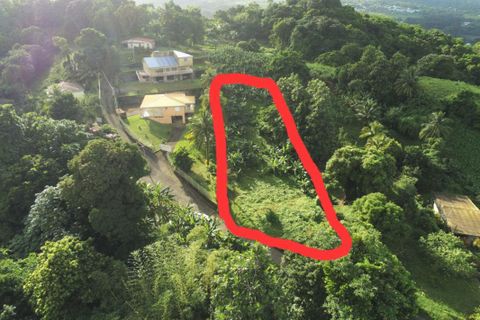 Terra a Le Lorrain, Martinique, Le Lorrain - € 116.000 | Ref: 2004 - foto 2