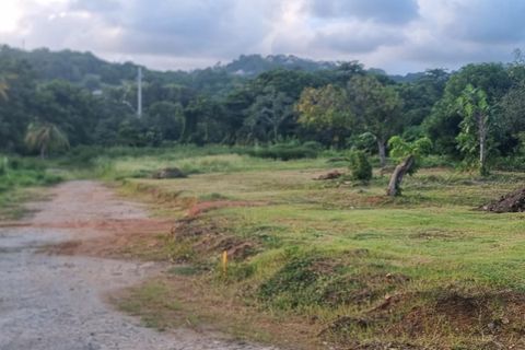 Tomt i Le Robert, Martinique, Le Robert - € 149 000 | Ref: 1906 - foto 2