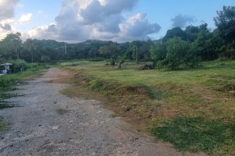 Tomt i Le Robert, Martinique, Le Robert - € 149 000 | Ref: 1906 - foto 3