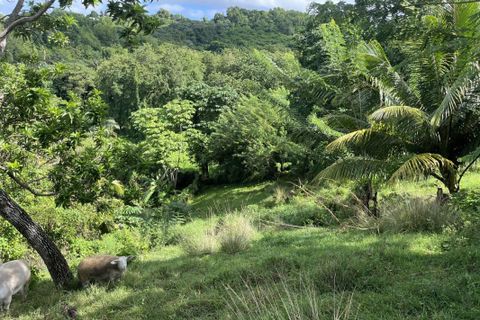 Terra a Dikos, Martinique, Dikos - € 173.650 | Ref: 1892 - foto 2
