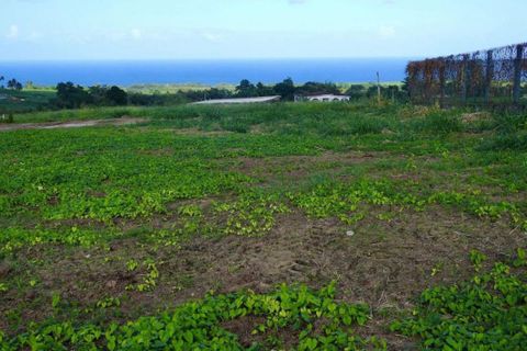 Terra a Basse-Pointe, Martinique, Basse-Pointe - € 80.000 | Ref: 1841-6 - foto 2