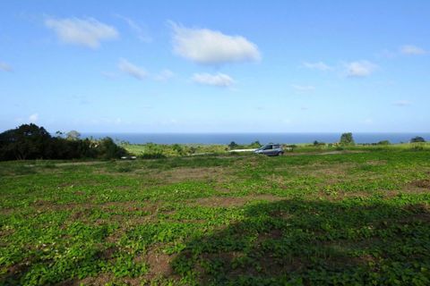 Terra a Basse-Pointe, Martinique, Basse-Pointe - € 76.000 | Ref: 1841-3 - foto 4