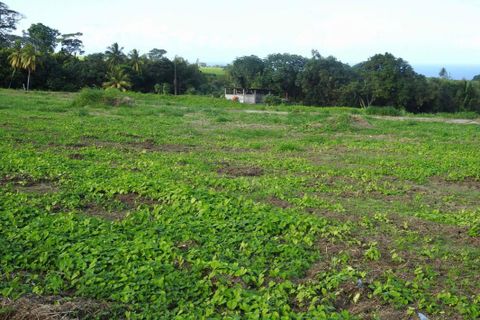 Terra a Basse-Pointe, Martinique, Basse-Pointe - € 80.000 | Ref: 1841-2 - foto 4