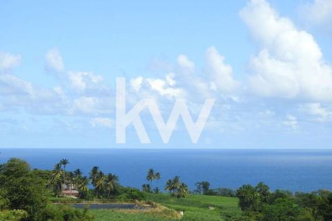 Terra a Basse-Pointe, Martinique, Basse-Pointe - € 83.000 | Ref: 1871-7 - foto 5