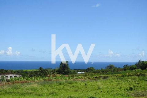 Terra a Basse-Pointe, Martinique, Basse-Pointe - € 83.000 | Ref: 1871-7 - foto 6
